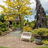 Colourful mature shrubs and trees dovecote white bench in mature garden