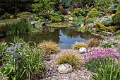 Pond designed with wildlife in mind in June Early Summer in John Massey`s Garden Ashwood