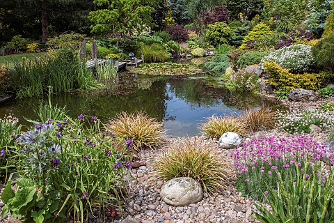 Pond_designed_with_wildlife_in_mind_in_June_Early_Summer_in_John_Masseys_Garden_Ashwood