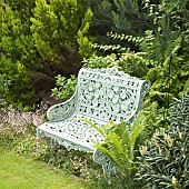 White metal bench sitting in borders of mature shrubs in June Early Summer in John Massey`s Garden Ashwood (NGS) West Midlands
