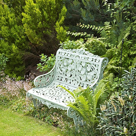 White_metal_bench_sitting_in_borders_of_mature_shrubs_in_June_Early_Summer_in_John_Masseys_Garden_As