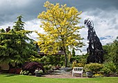 Colourful mature shrubs and trees dovecote white bench in May late Spring in John Massey`s Garden Ashwood (NGS)