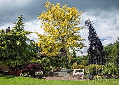 Colourful_mature_shrubs_and_trees_dovecote_white_bench_in_May_late_Spring_in_John_Masseys_Garden_Ash