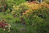 Dell with stream waterfall and rock garden with many Rhododendrons and Azaleas