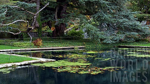 Autumnal_reflections_in_garden_pond_in_a_late_autumn