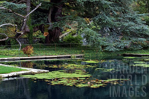 Autumnal_reflections_in_garden_pond_late_autumn