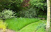 Mature trees and shrubs long grass planted with Pheasant Eye Narcissi pure white reflexed perianth orange-red cup wooden bench grass path in garden at Bancroft Farm (NGS) late spring May Staffordshire Midlands England UK