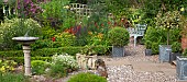 A plant lovers cottage garden borders of herbaceous perennials grey metal containers with shaped box hedging and holly sun-dial and gravel paths at Coley Cottage (NGS) Little Haywood, Staffordshire