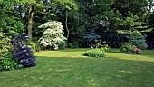 Large lawn with borders of mature trees and shrubs at Midwinters Garden Chorley Village Open Gardens in Shropshire