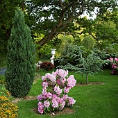 Scenic country garden in late Spring, Conwy Valley Maze, near Dolgarrog in Snowdonia National Park, Gwynedd, North Wales UK,