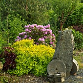 Japanese Garden in late Spring