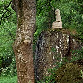 Hillside light woodland garden with Buddha statue perched on rocky outcrop