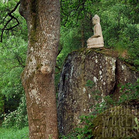 Hillside_light_woodland_garden_with_Buddha_statue_perched_on_rocky_outcrop