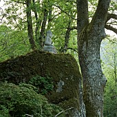 Hillside light woodland garden with Buddha statue perched on rocky outcrop