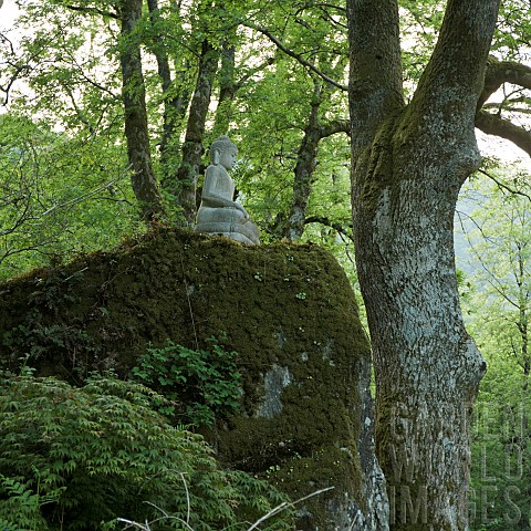 Hillside_light_woodland_garden_with_Buddha_statue_perched_on_rocky_outcrop