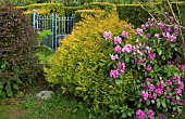 Country Garden in Late Spring