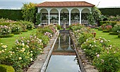 The Renaissance Garden water garden edged with borders of roses leading to seating area walls covered in scentede climbing roses at David Austin Roses Albrighton, Staffordshire.