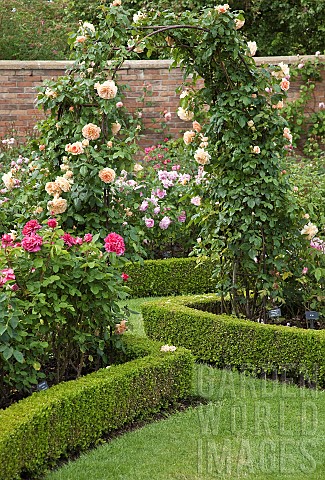 Rose_borders_and_arches_with_box_hedging