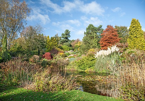 Mature_trees_and_shrubs_overlooking_pond_in_full_autumn_colour
