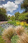 Border of white tulips and blue forget-me-nots