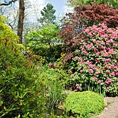 Colourfull mature trees and shrubs