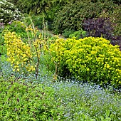 Young mature trees and shrubs