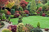 Acers and many deciduous trees and shrubs