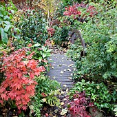 Small wooden bridge Japenese garden