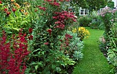 Borders of mixed herbaceous perennials