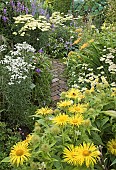 Herbaceous perennials with flowers in profusion, packed into an idyllic English cottage garden
