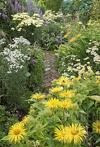 Herbaceous_perennials_with_flowers_in_profusion_packed_into_an_idyllic_English_cottage_garden