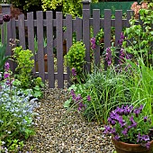 Garden view gravelled path and garden gate