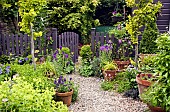 Summer Garde gravel path with terracotta pots around garden gate