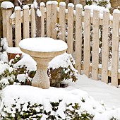 Snow and ice on Bird Bath and fence, winter