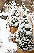 Garden View Heavy Snow Fall