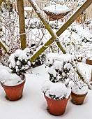 Garden View Heavy Snow Fall