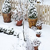 Garden View Heavy Snow Fall