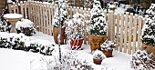 Garden View Heavy Snow Fall