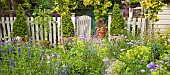 Path down garden runs through gate flanked with two Ulnus Wredei and Alchemilla Mollis Lady`s Mantle
