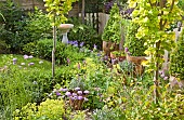 Bird bath, herbaceous perennial, containers with Buxus shaped box