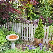 Bird bath, trees and shrubs, container with pyramid Buxus box shaped evergreen shrub at High Meadow Garden early summer June Cannock Wood Staffordshire England UK