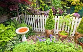 Bird bath, trees and shrubs, container with pyramid Buxus box shaped evergreen shrub