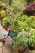 Patio area with seating containers trellis containers shrubs flowers