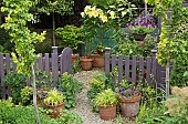 Summer Garden, Goliath Lily, Lilium Orania in pots, gravel path with terracotta pots around garden gate