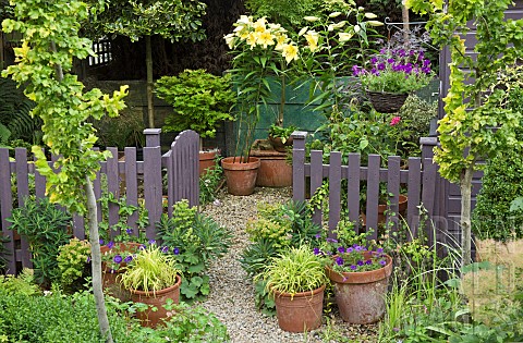 Summer_Garden_Goliath_Lily_Lilium_Orania_in_pots_gravel_path_with_terracotta_pots_around_garden_gate