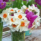 Tulips and Daffodils in vases on shelf in summerhouse