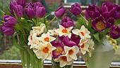 Tulips and Daffodils in vases on shelf in summerhouse