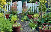 Summer Garden, gravel path with terracotta pots around garden gate