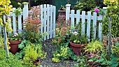 Summer Garden, gravel path with terracotta pots around garden gate