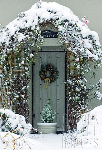 Snow_covered_front_garden_and_porch_with_clematis_trailing_around_the_front_door_in_winter